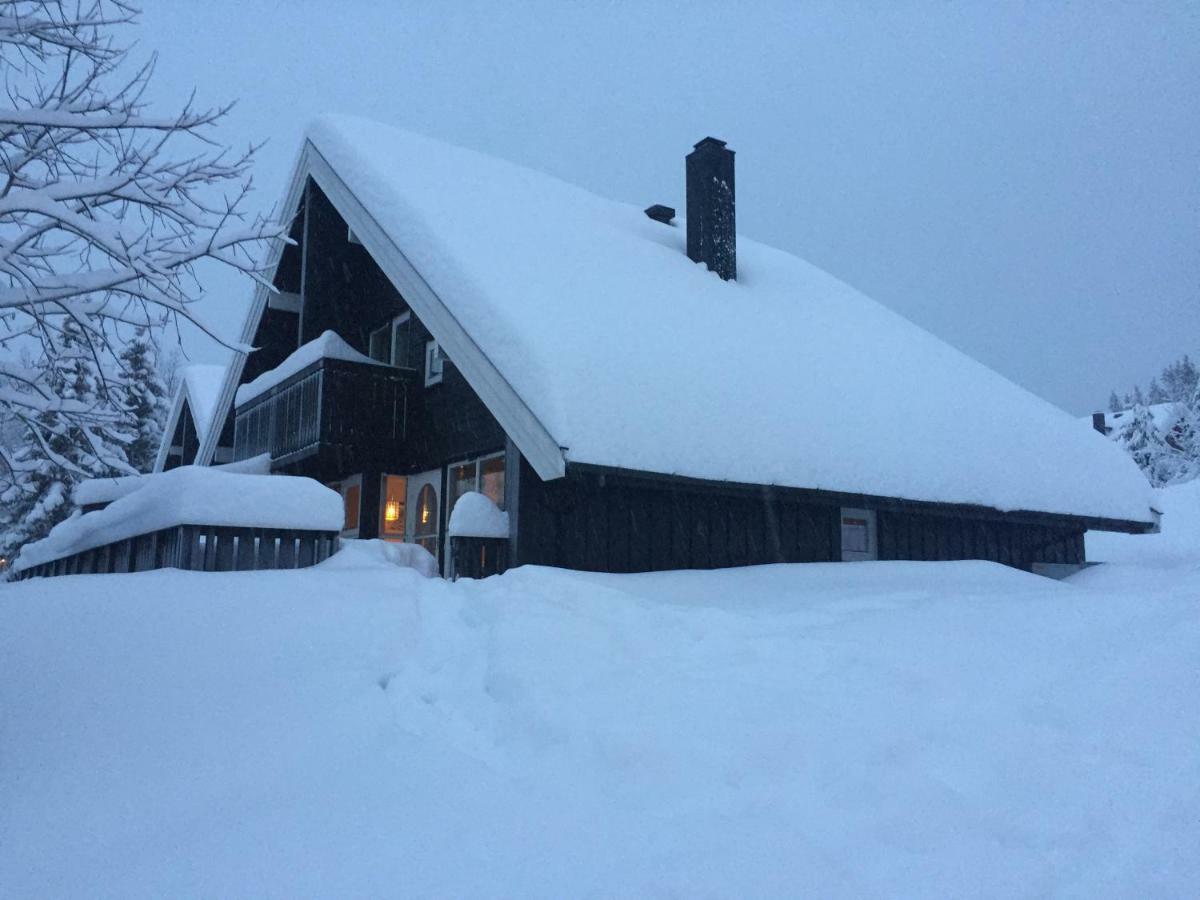 Trysil Alpin 16A Top Location Eksteriør bilde